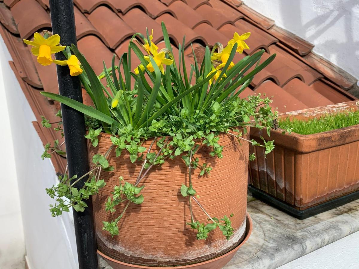 Rooftop Terrace Domus Dei Fabbri เวนิส ภายนอก รูปภาพ