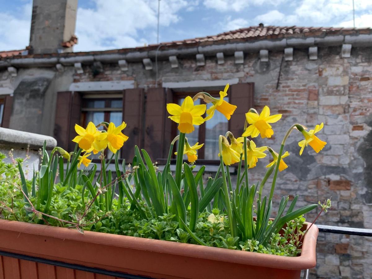 Rooftop Terrace Domus Dei Fabbri เวนิส ภายนอก รูปภาพ
